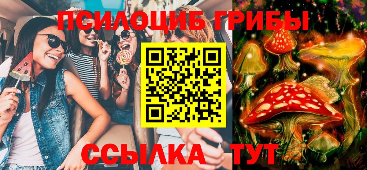 Кольчугино  Псилоцибиновые грибы Psilocybe  Вход с VPN  Галлюциногенные грибы мицелий 